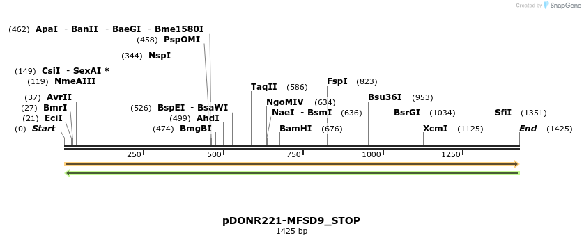 312055_map