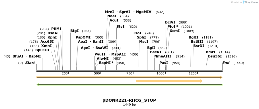 312057_map