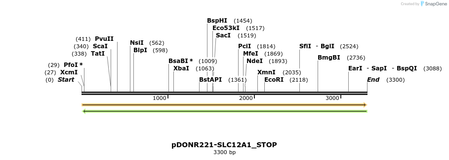 312059_map