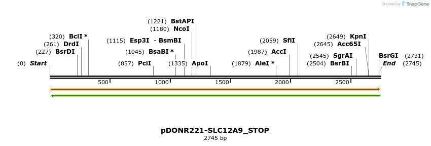 312061_map