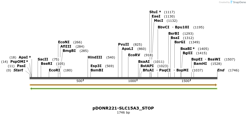 312063_map