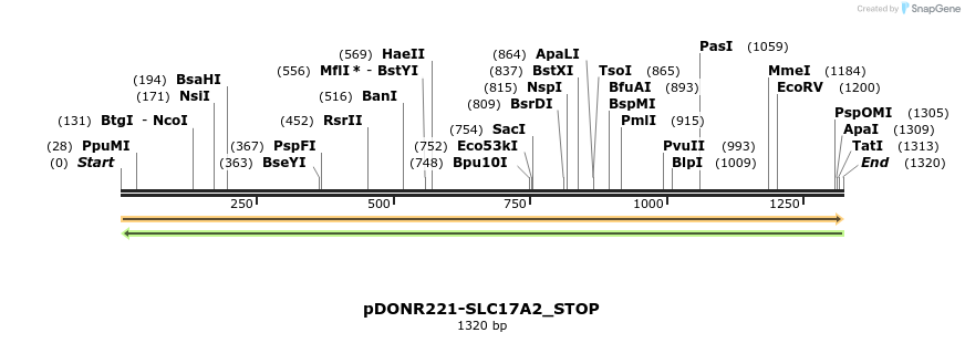 312067_map