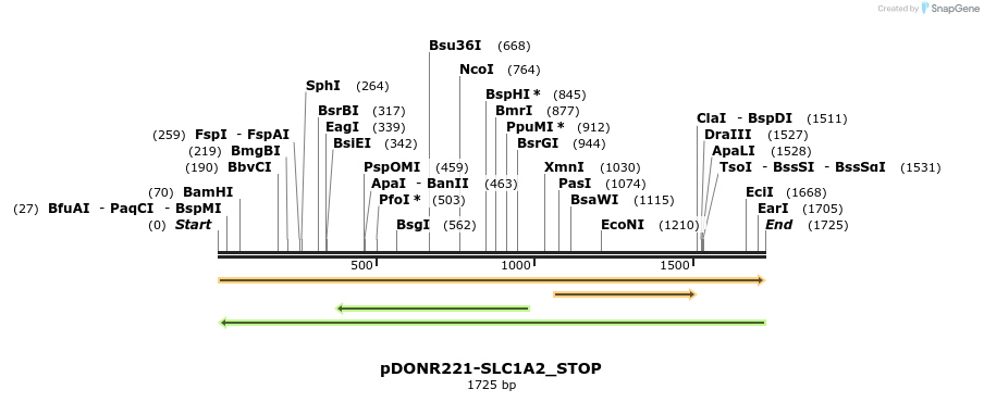 312069_map