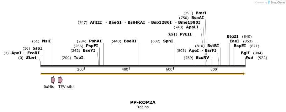 31207_map