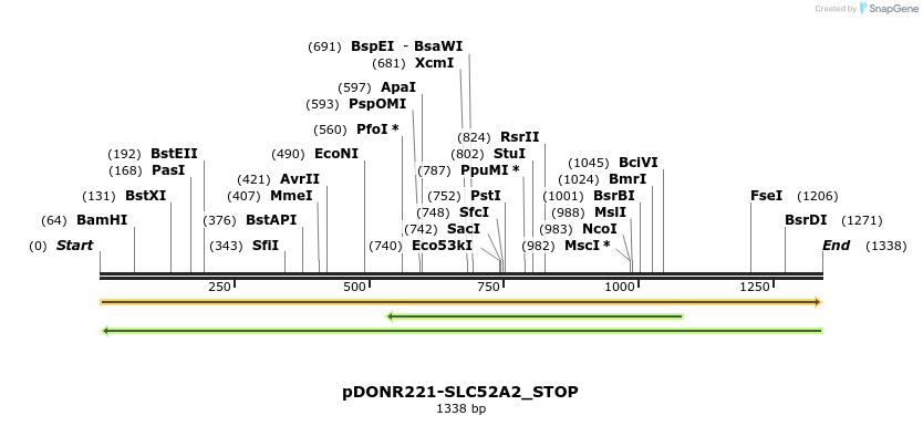 312071_map