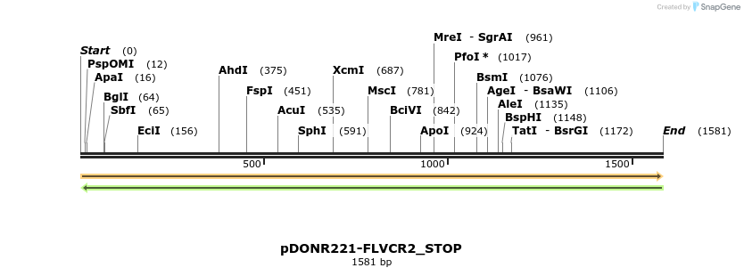 312075_map
