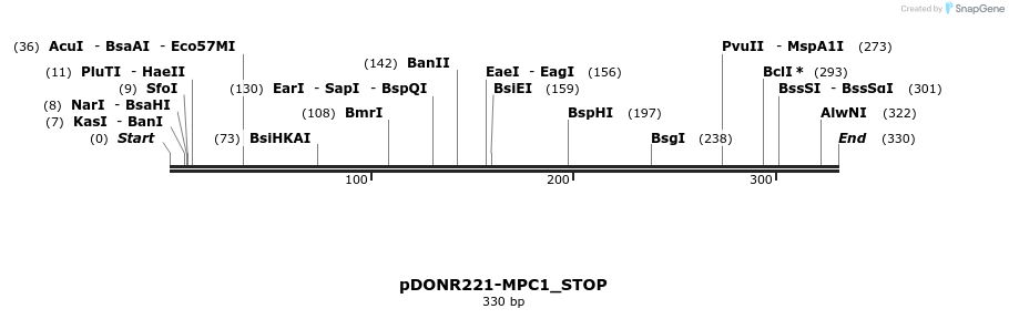 312079_map
