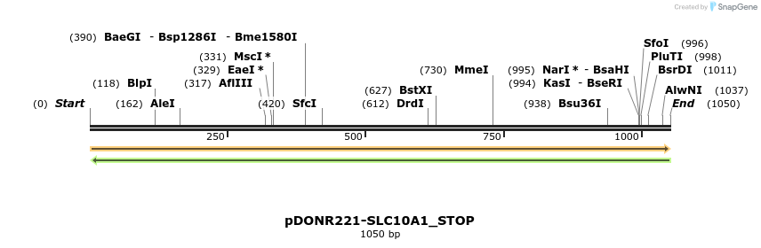 312081_map