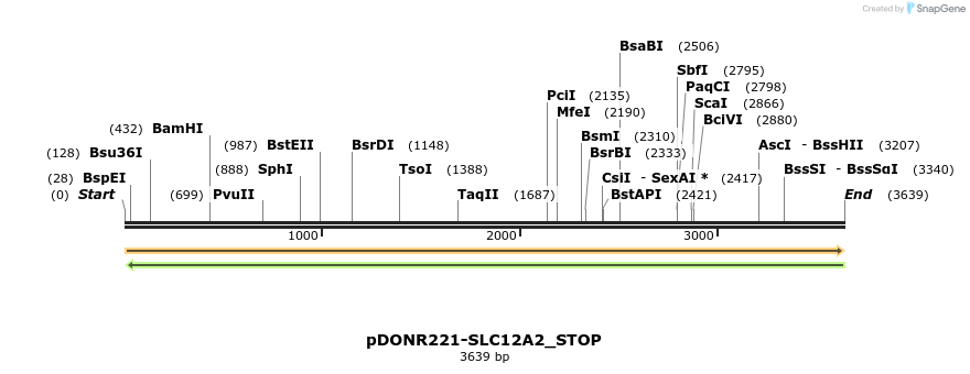 312083_map