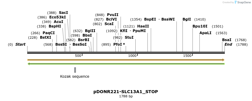 312085_map