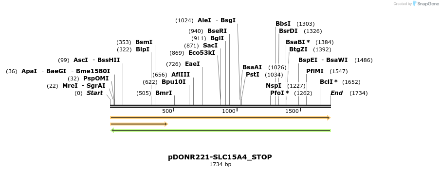 312087_map