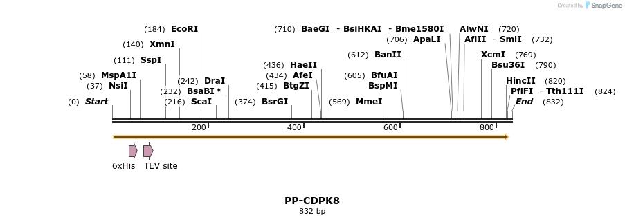 31209_map