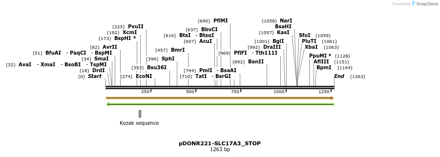 312091_map