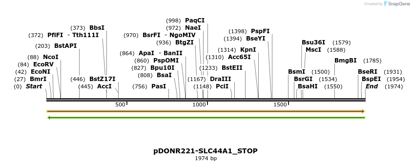 312093_map