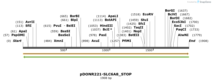 312097_map