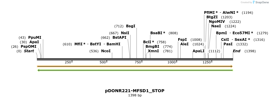 312099_map