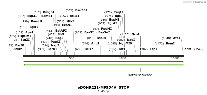 312101_map