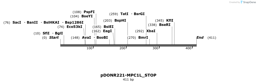 312103_map