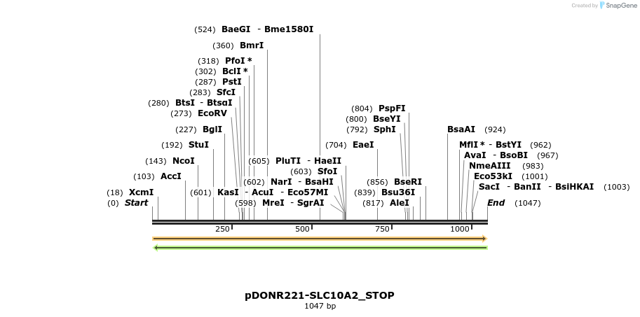 312105_map