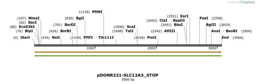 312107_map