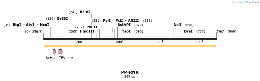 31211_map