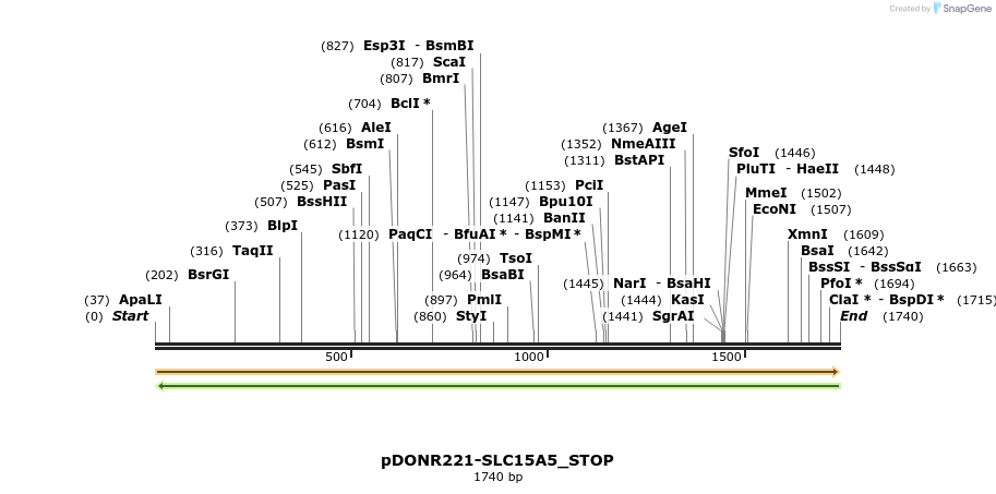 312111_map