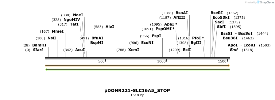 312113_map