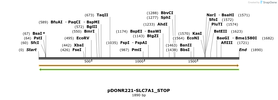 312117_map