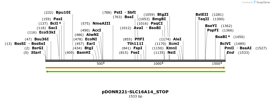 312119_map