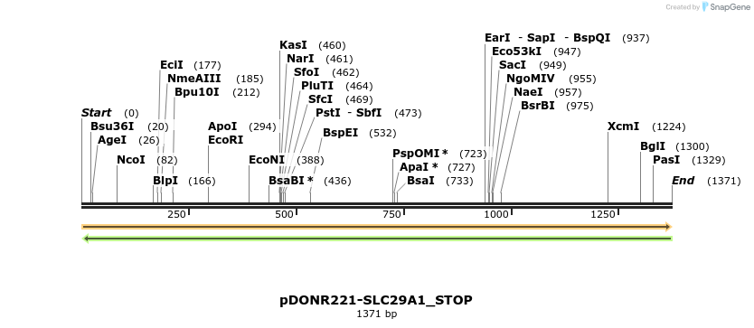 312121_map