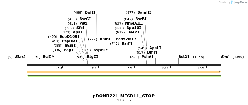 312123_map