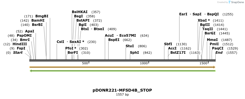 312125_map