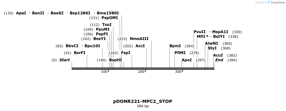 312127_map