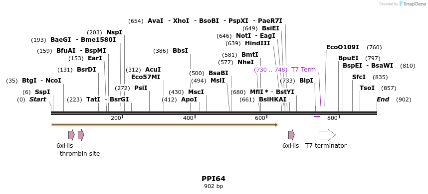 31213_map
