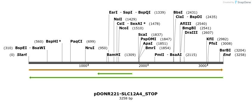 312131_map