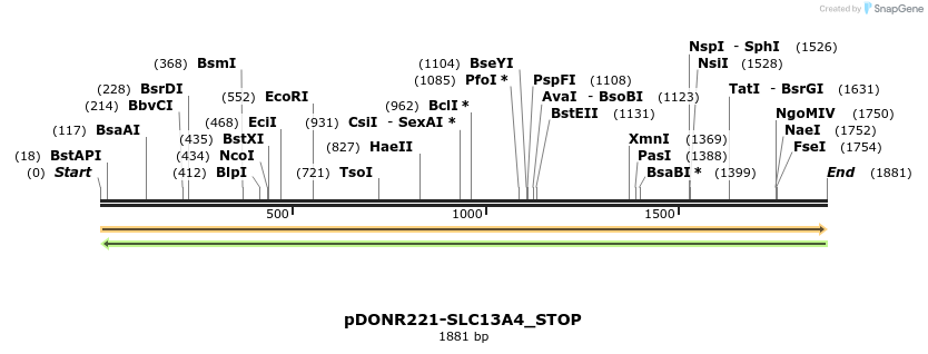 312133_map