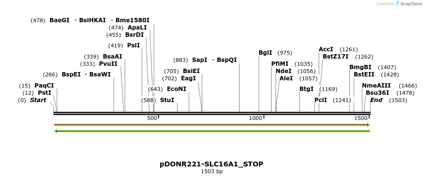 312135_map