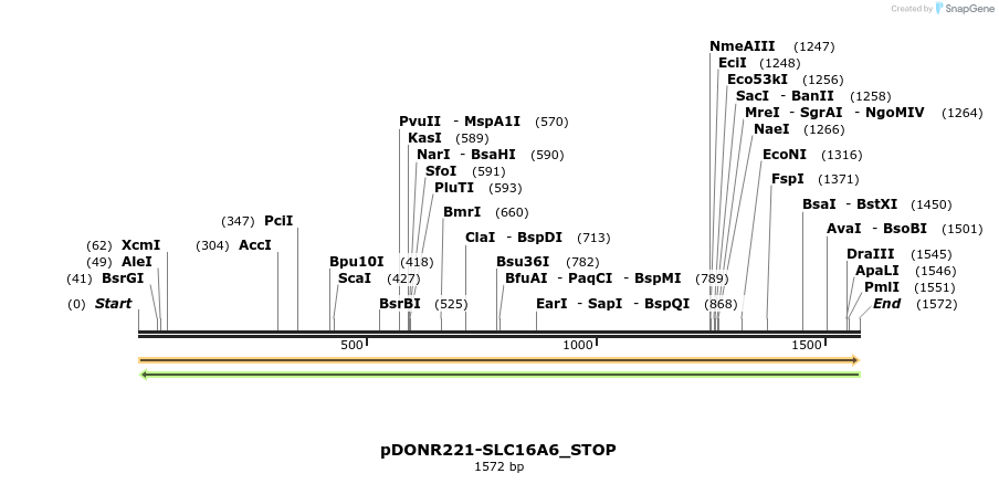 312137_map