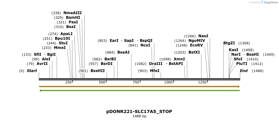 312139_map