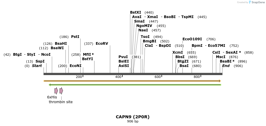 31214_map