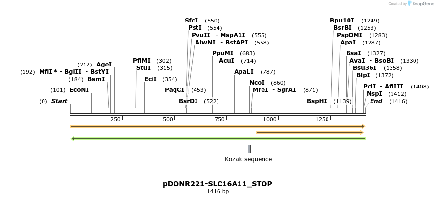 312145_map