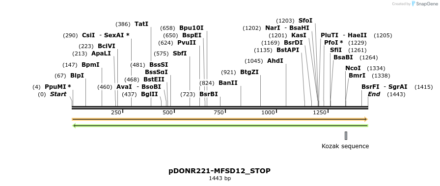 312147_map