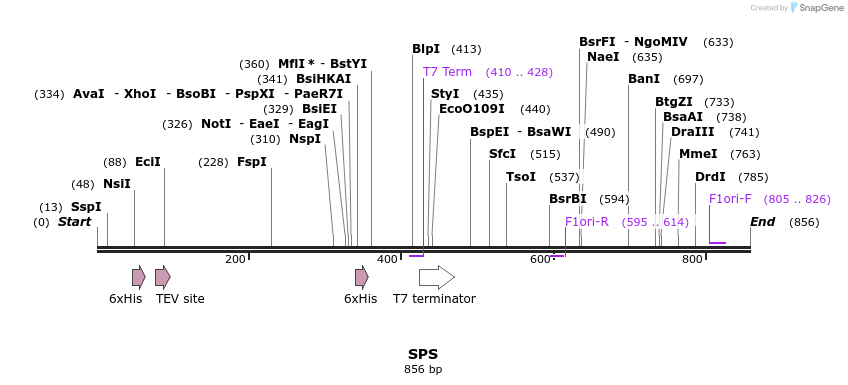 31215_map