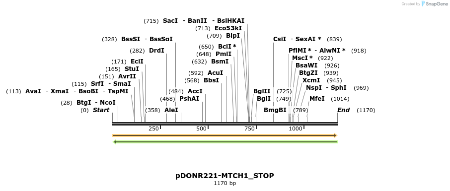 312151_map