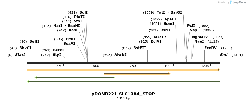 312153_map