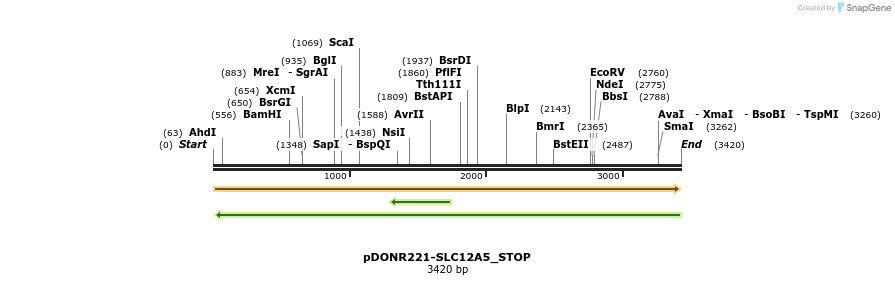 312155_map