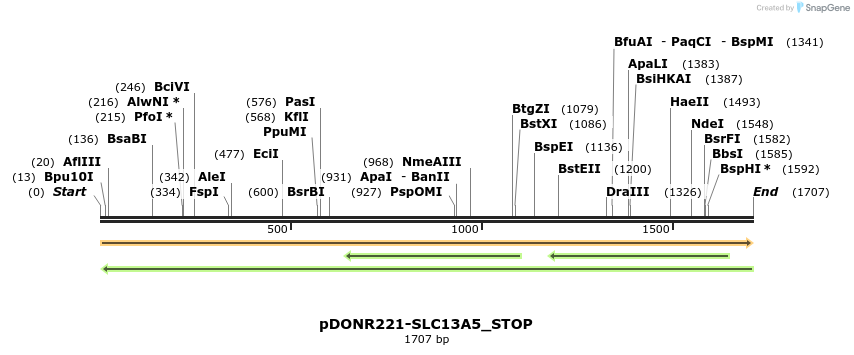 312157_map