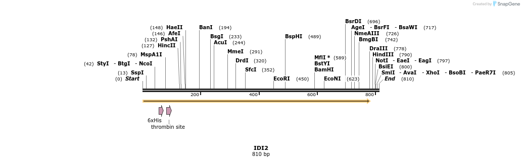 31216_map