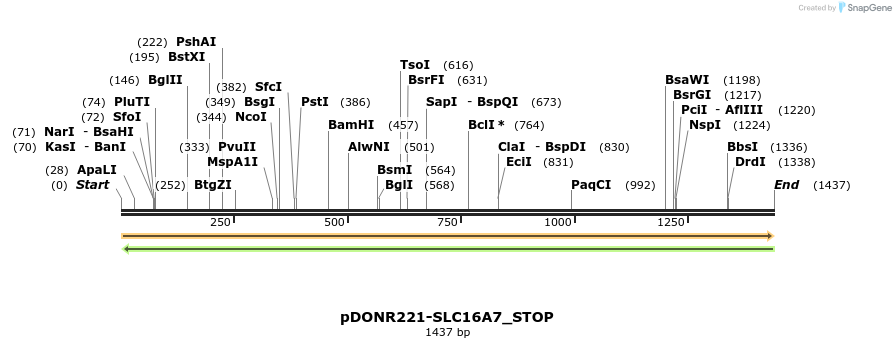 312161_map