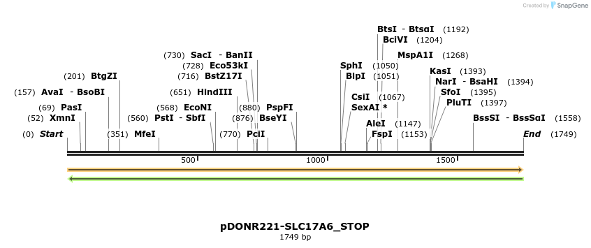 312163_map